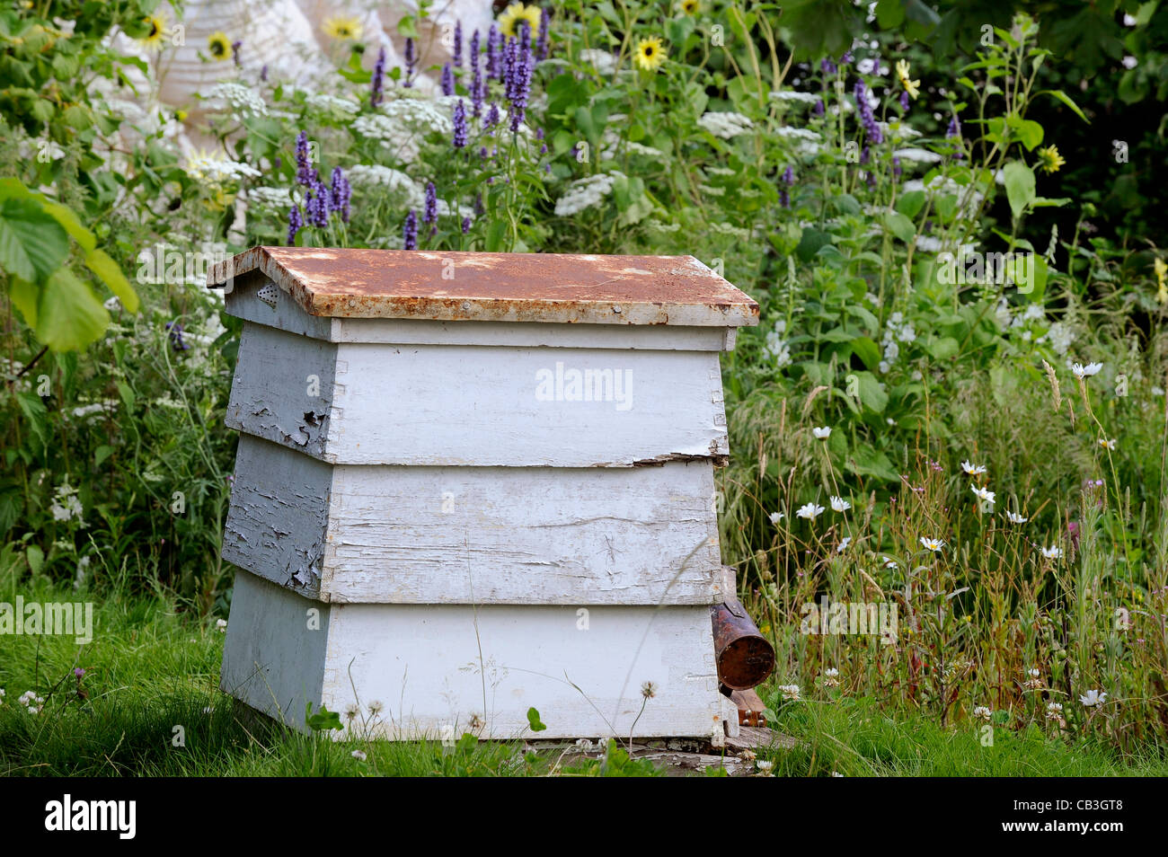 Traditional beehive in garden with wildflowers Stock Photo