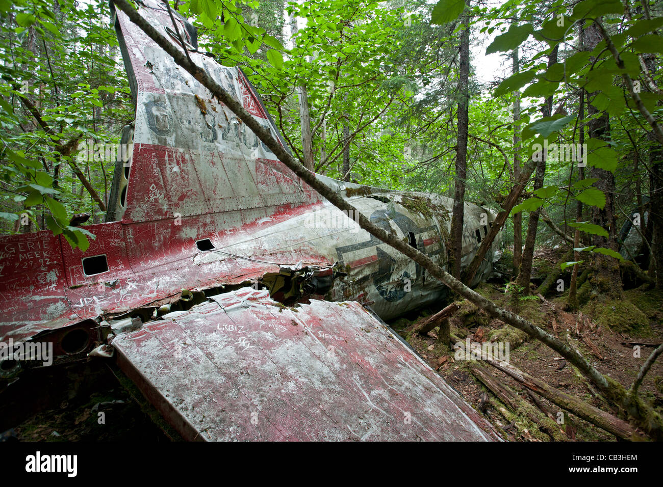 1957 DC-3 plane crash. Gustavus. Glacier Bay. Alaska. USA Stock Photo