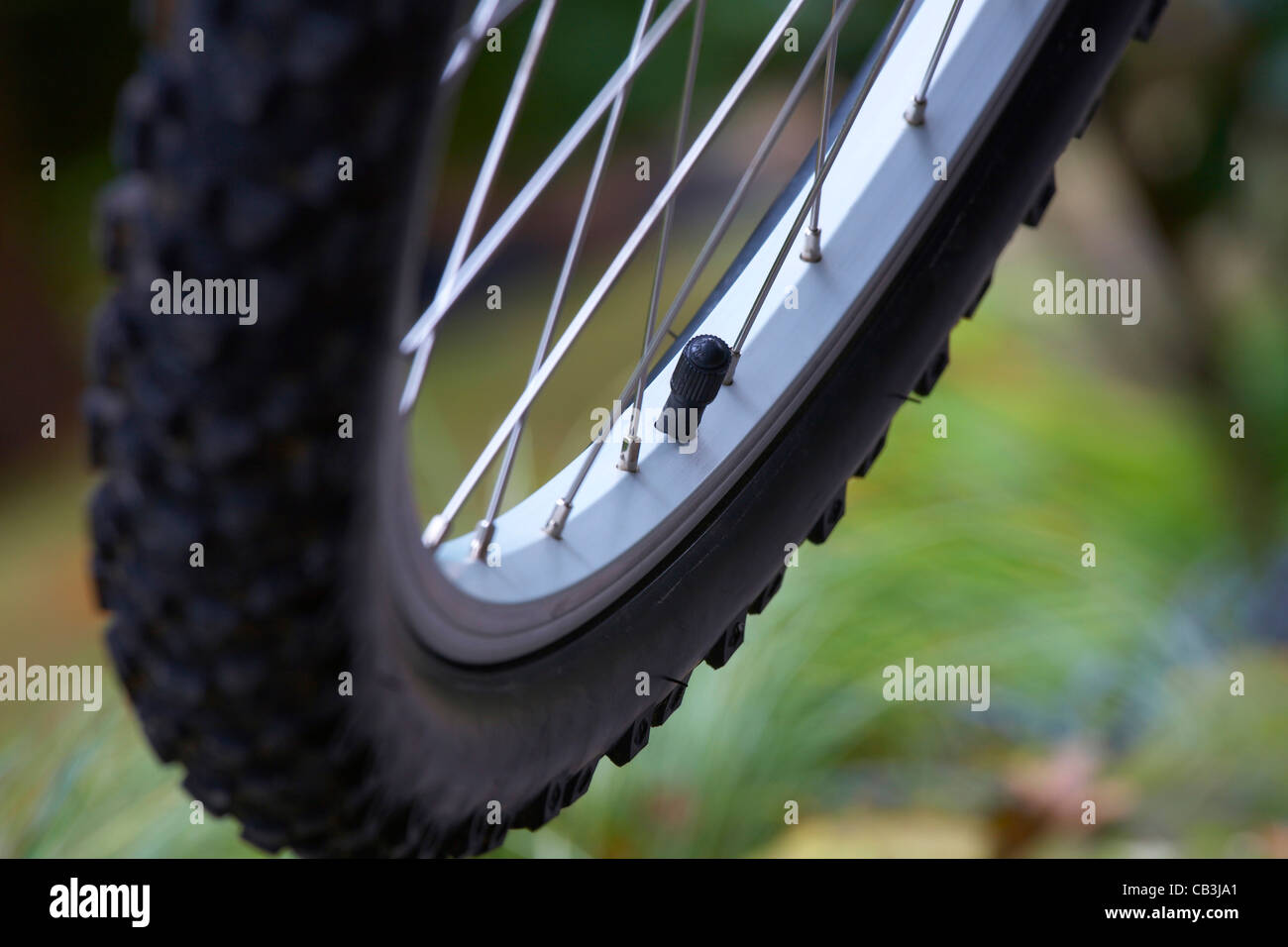 Close-up of bicycle wheel Stock Photo