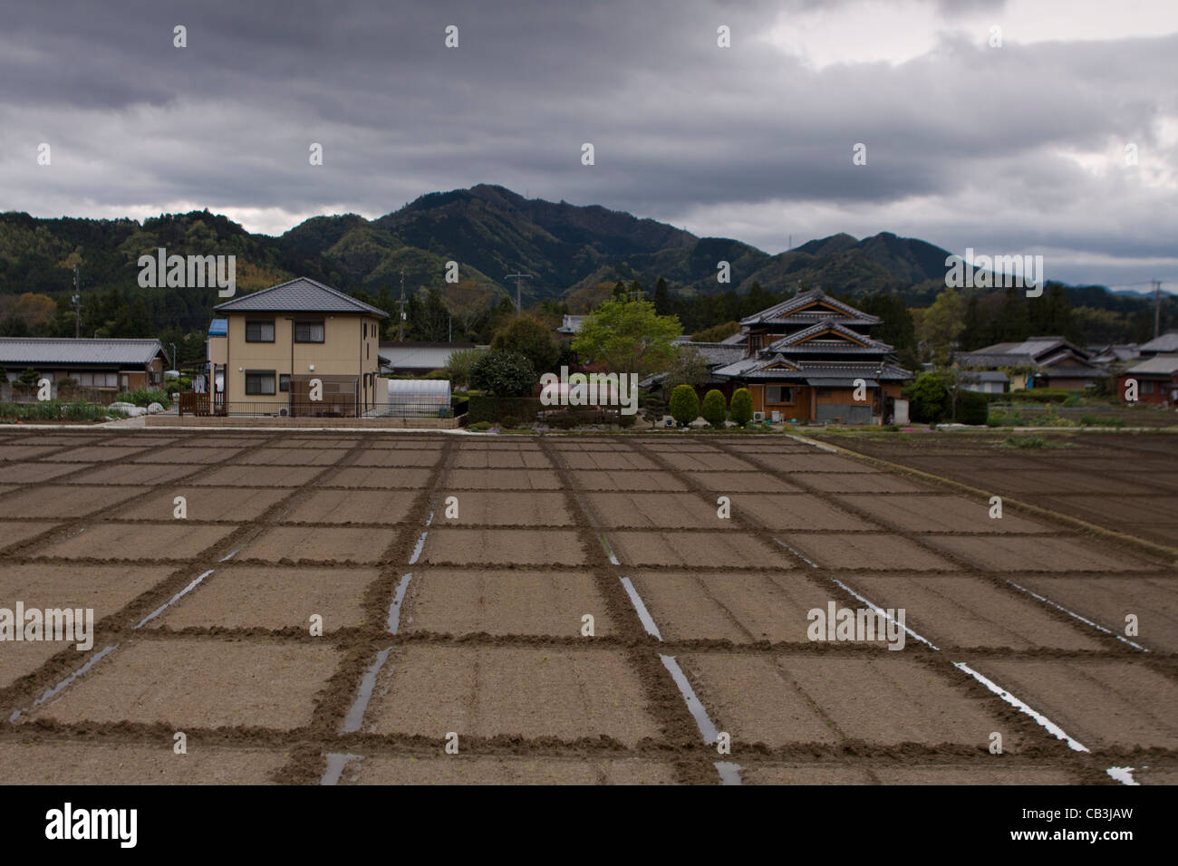 View over rice paddies in the small Japanese village of Seiwa, Mie prefecture, western Honshu, Japan. Stock Photo