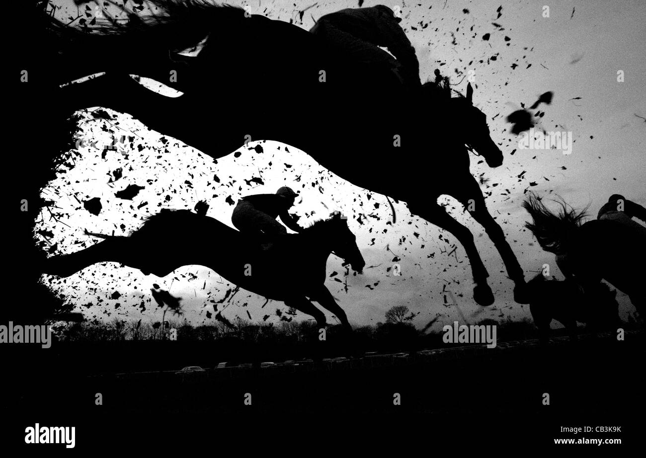 Horses clear a jump at Musselburgh Racecourse, near Edinburgh Stock Photo