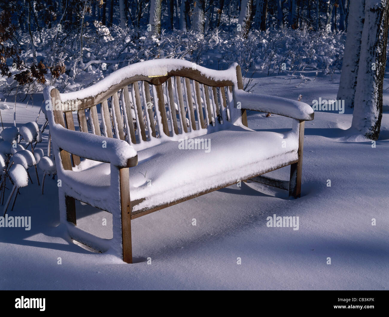 Park bench covered in snow Stock Photo - Alamy