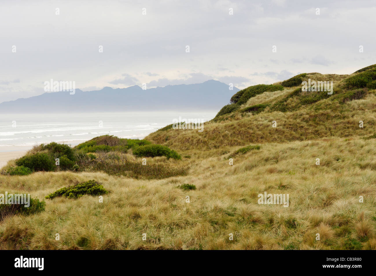 Mount Heemskirk range from Mount Dundas Regional Reserve dunes, West Coast, Tasmania, Australia Stock Photo