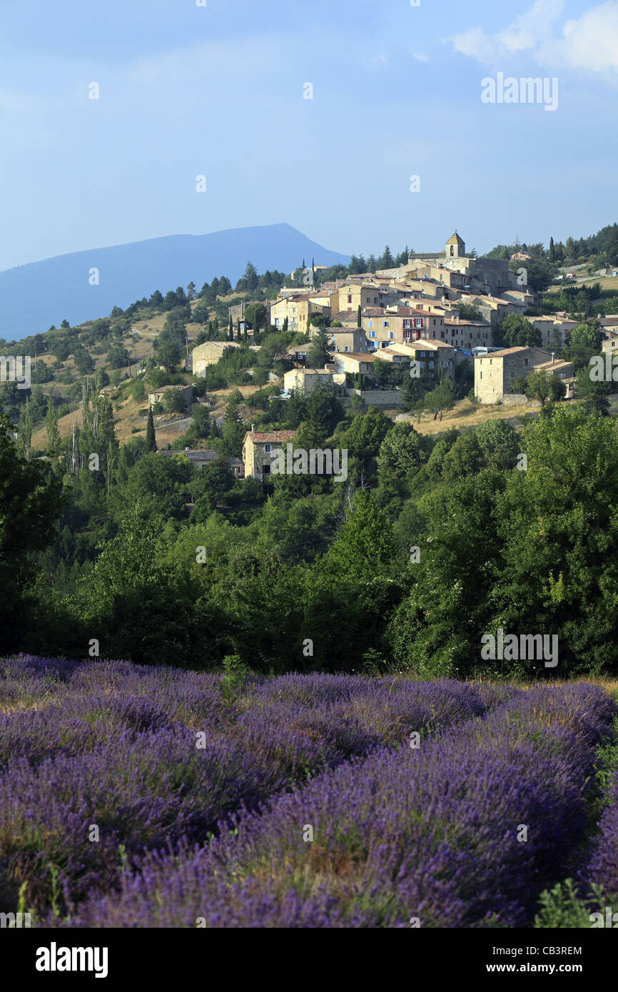 Aurel Village and lavender field in Provence, Vaucluse, France Stock Photo