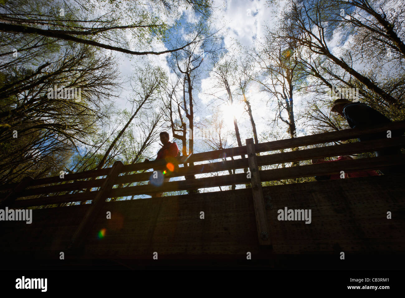 Silhouette man standing bridge hi-res stock photography and images - Alamy