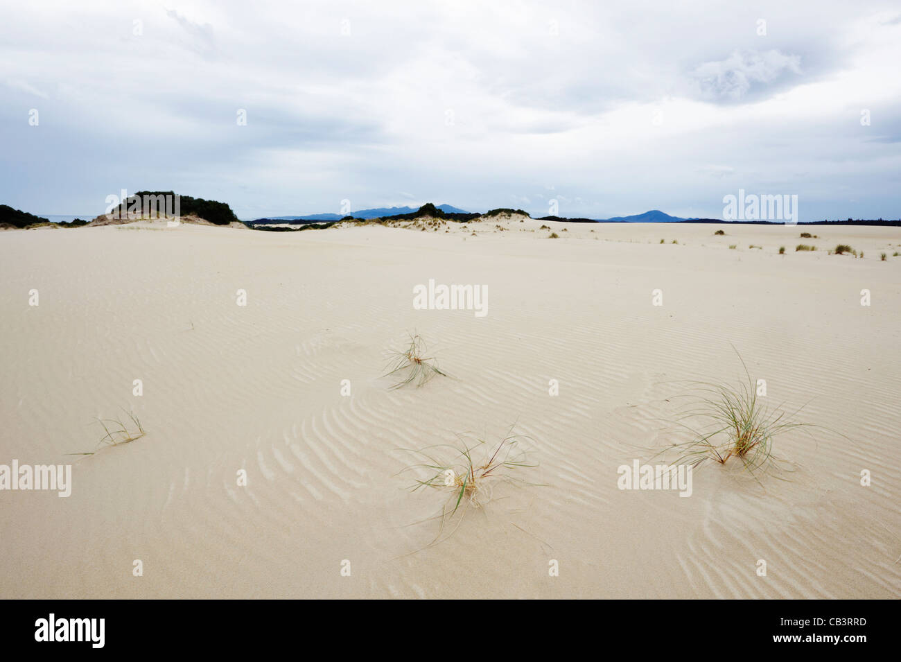 Henty Dunes, West Coast, Tasmania, Australia Stock Photo