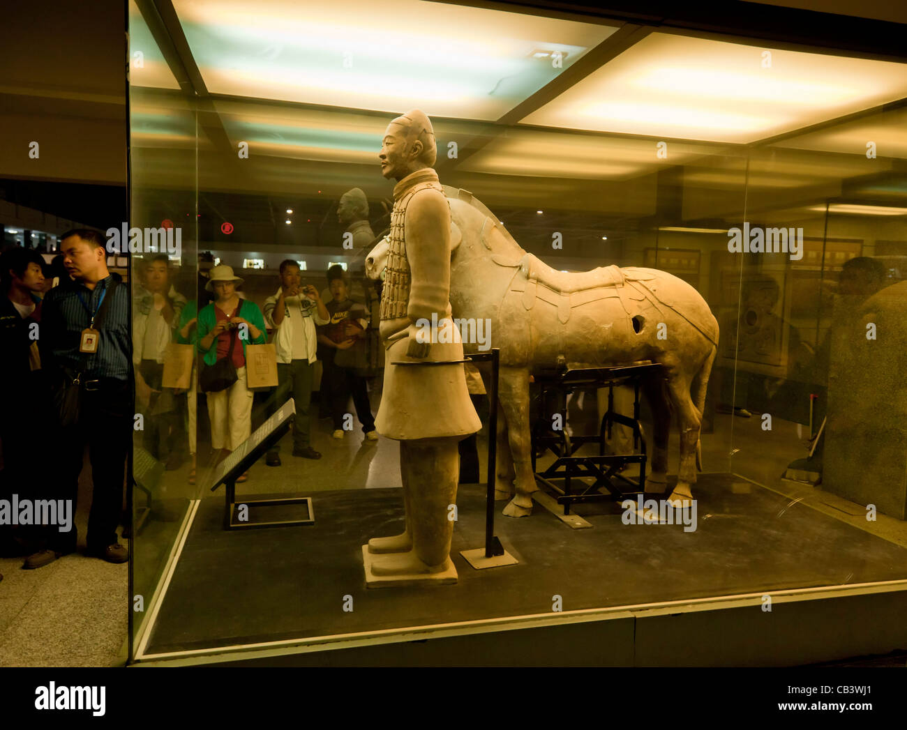 Terracotta Warriors museum glass case soldier and horse Xian, Shaanxi Province, PRC, People's Republic of China, Asia Stock Photo