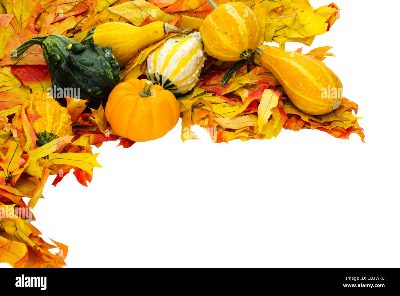Corner border with fall leaves and decorative gourds isolated on white ...