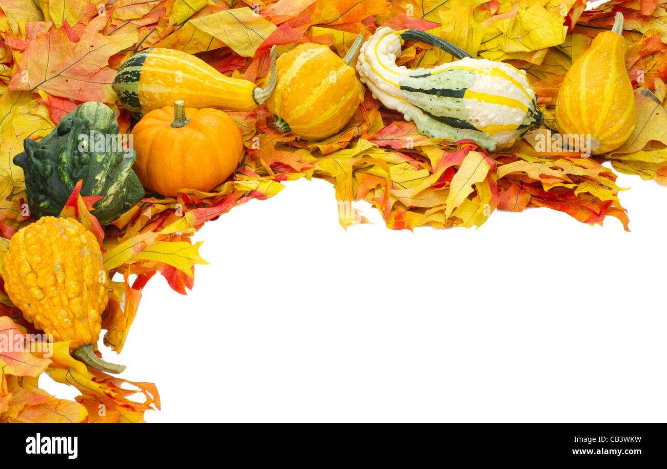 Corner border with fall leaves and decorative gourds isolated on white ...