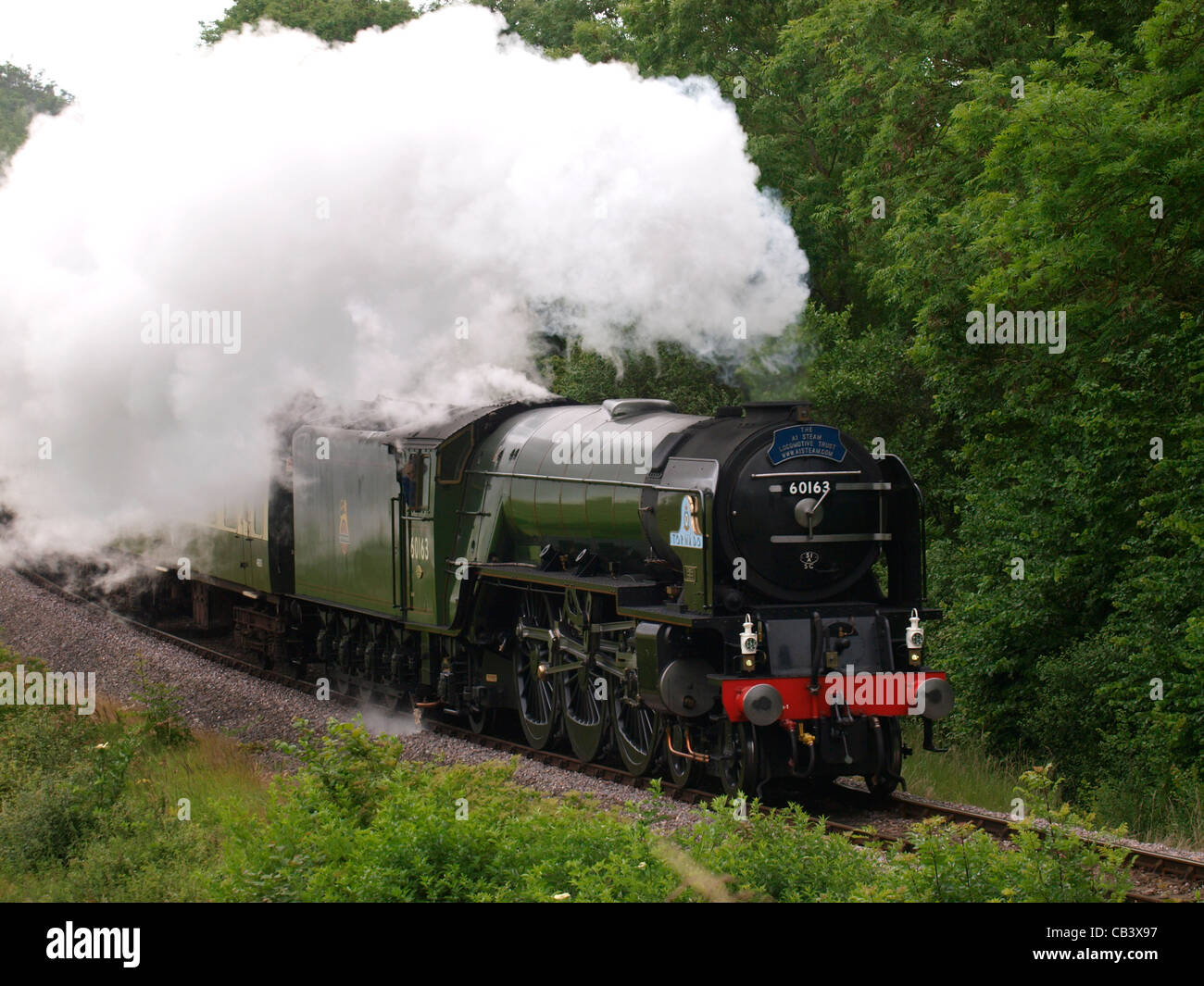 The Tornado steam train on the West Somerset Railway Line. UK Stock Photo