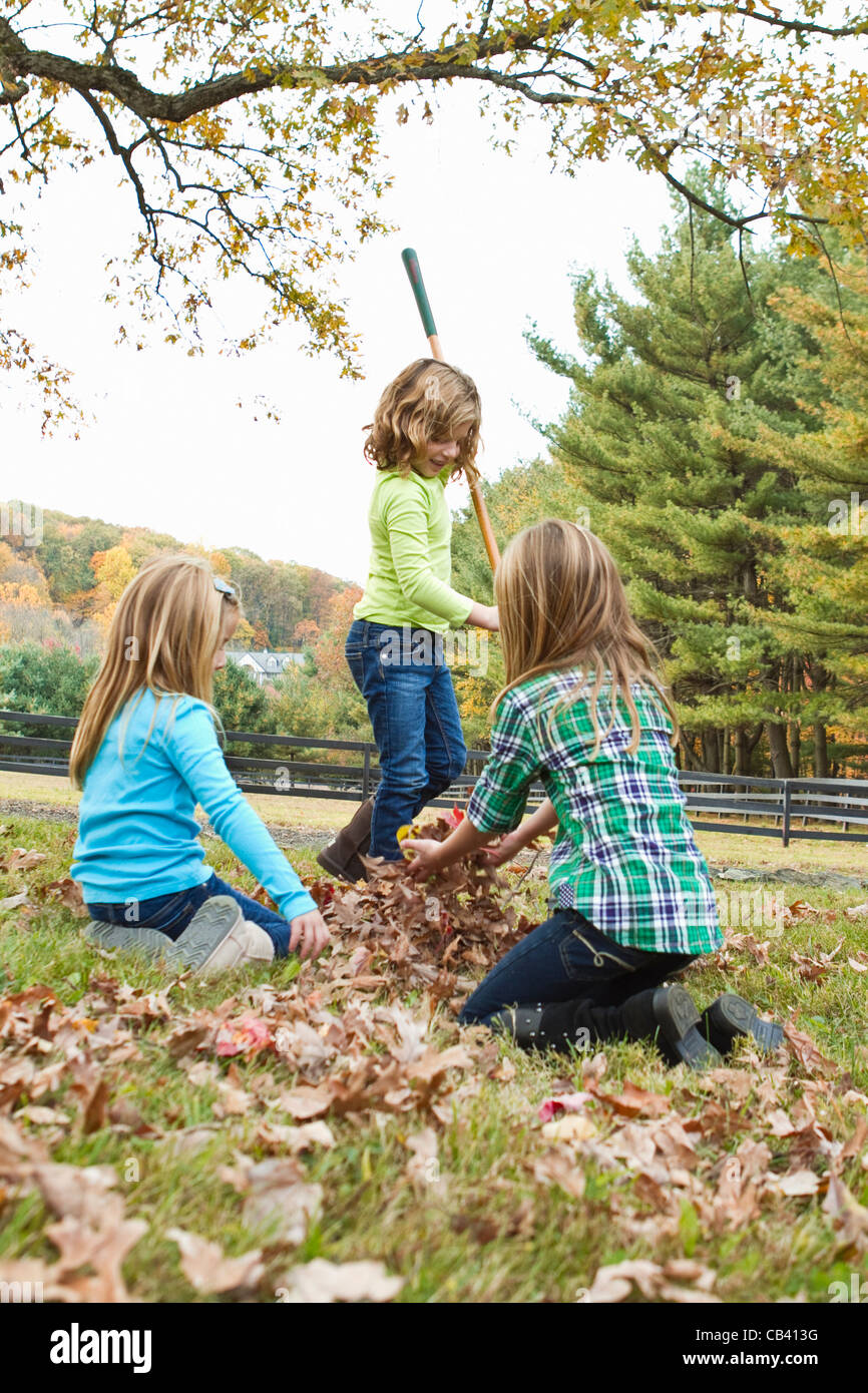 Girls playing with Autumn leaves in field Stock Photo - Alamy