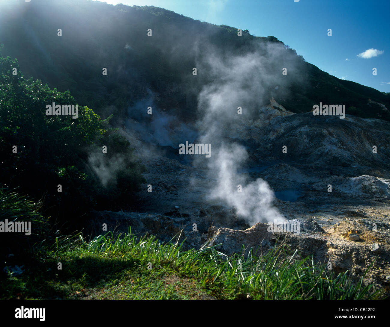 My Image 12