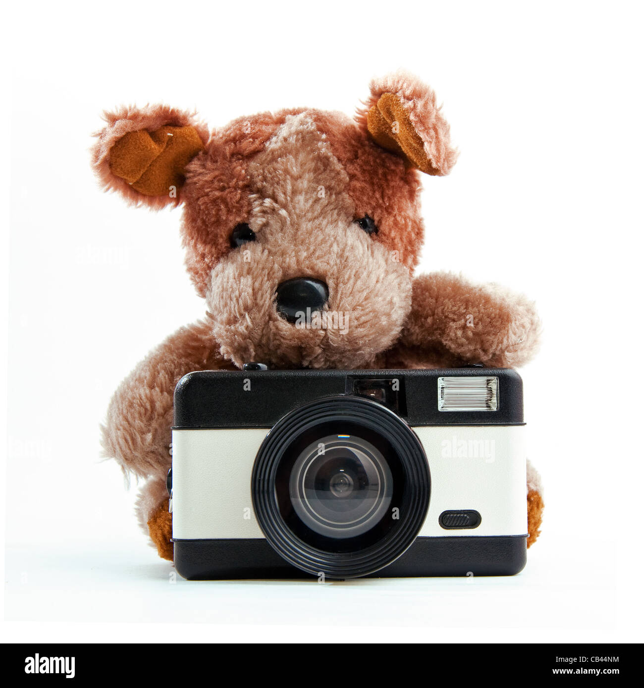 Cute little teddy bear with camera over a white background Stock Photo