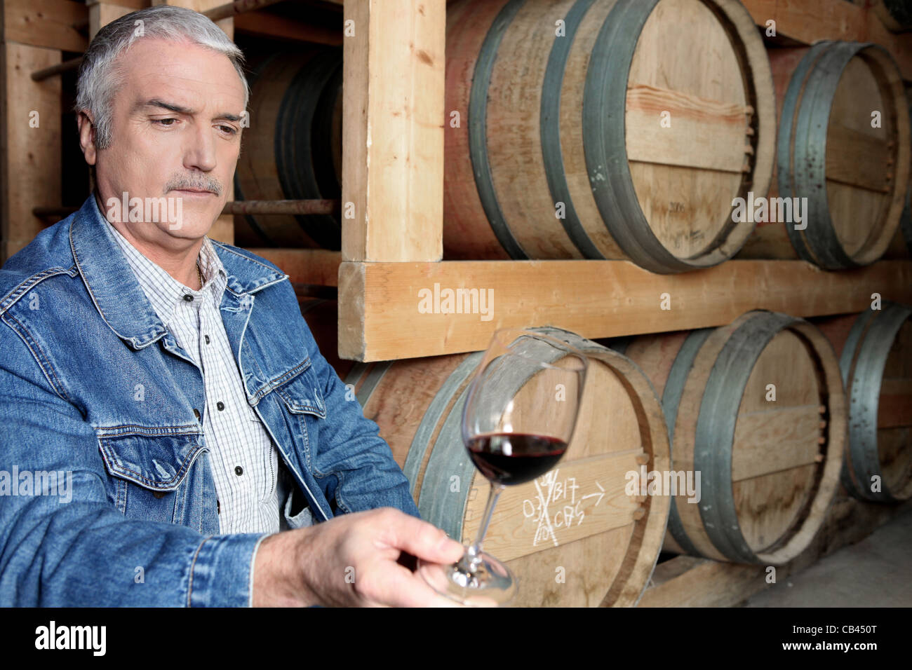 Man tasting wine in cellar Stock Photo - Alamy