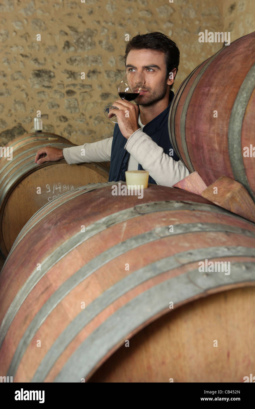 Man tasting wine in a cellar Stock Photo - Alamy