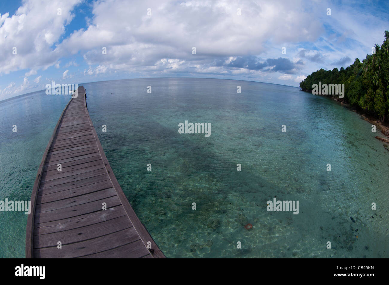 The welcoming pier at Jellyfish Lake, Jellyfish Lake, Kakaban Island, Berau, Kalimantan, Borneo, Indonesia, Pacific Ocean Stock Photo