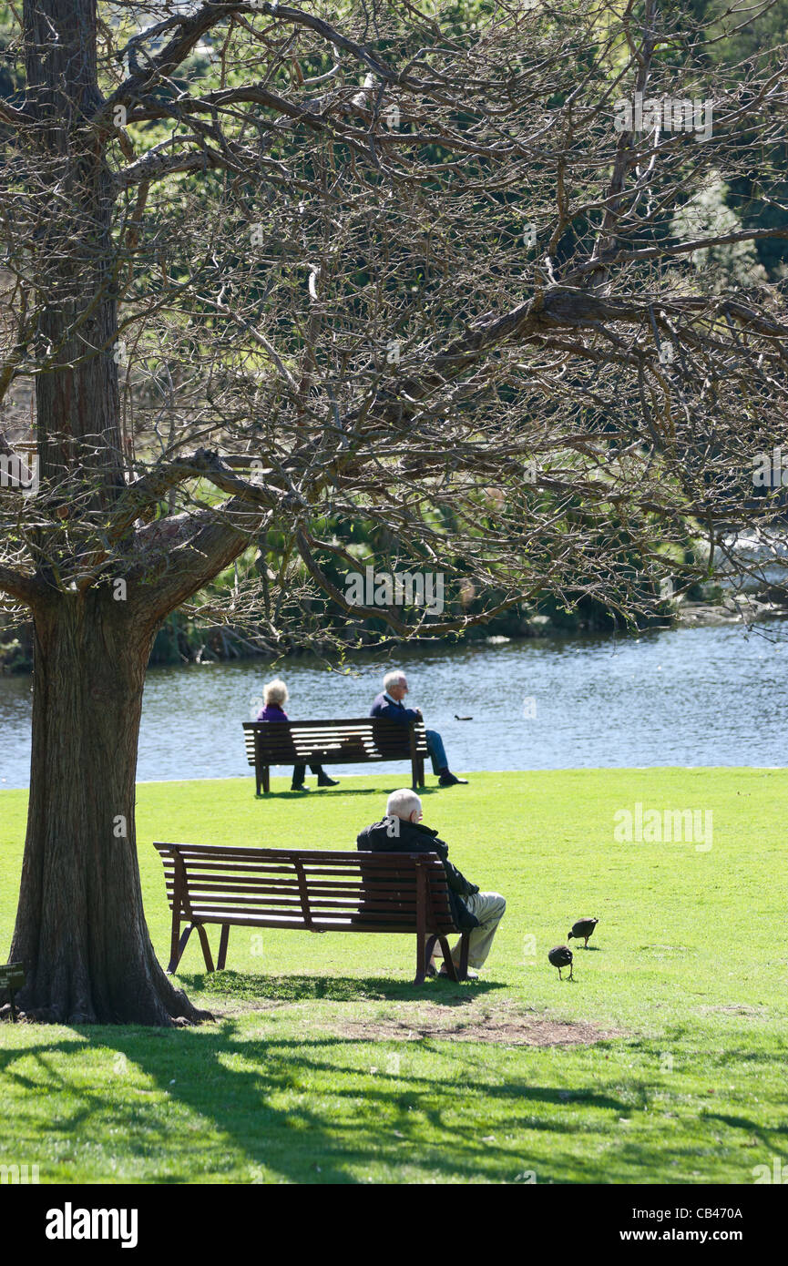 Elderly people sitting on bench hi-res stock photography and images - Alamy