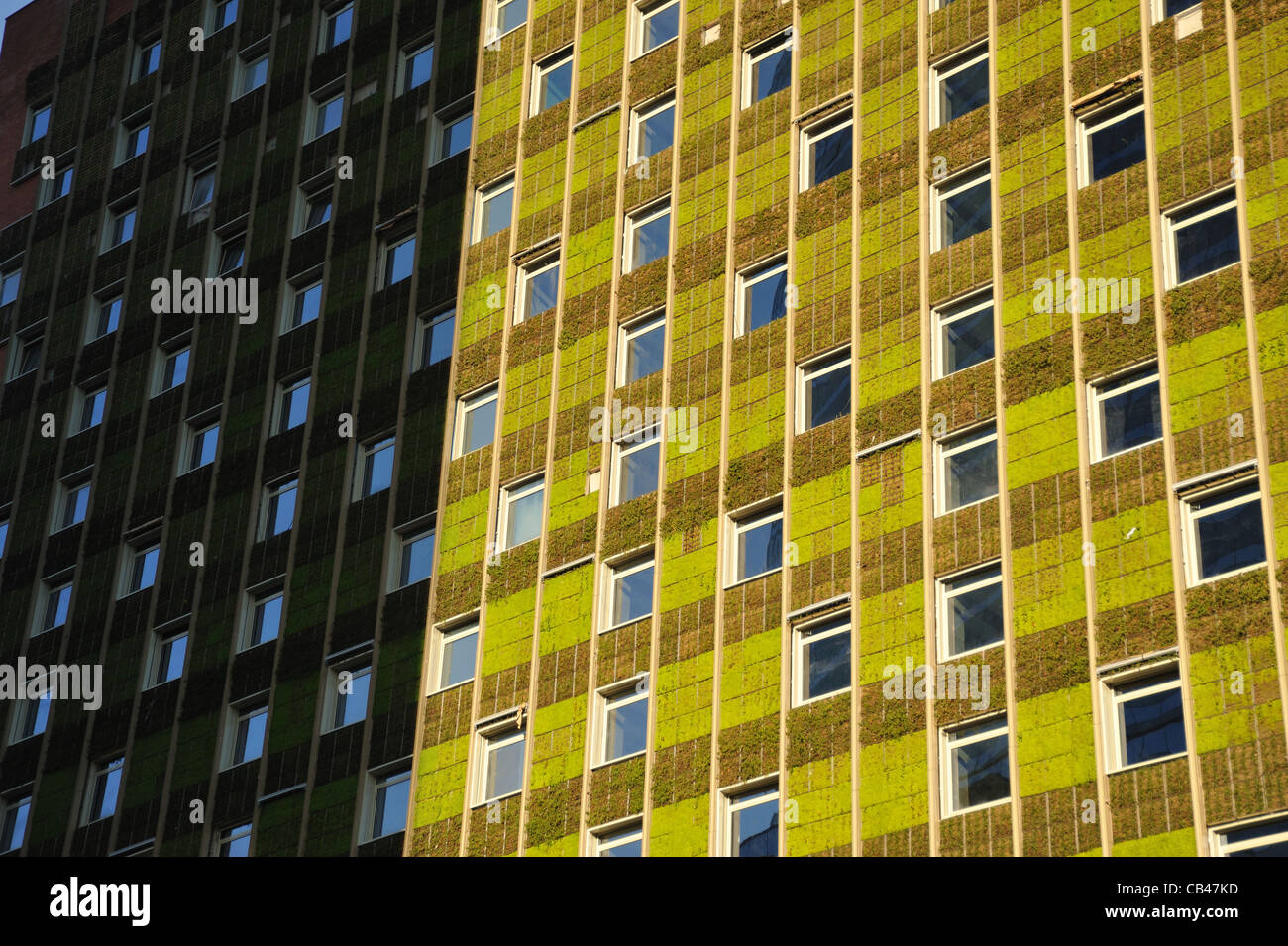Geometric facade of building covered with grass, grassy courtain wall or outdoor vertical garden in El Golf neighborhood, Las Condes, Santiago. Chile. Stock Photo