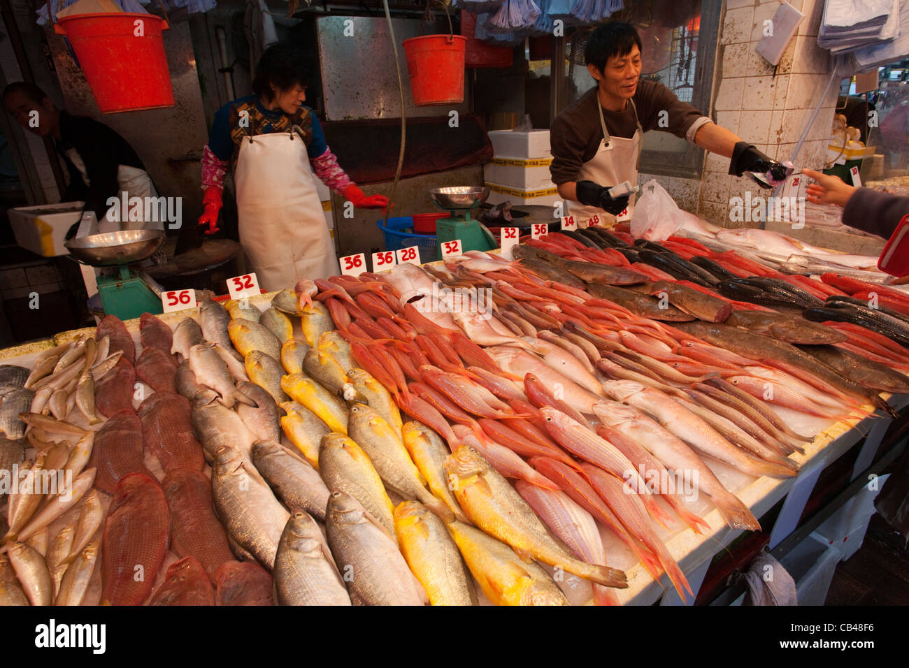 China, Hong Kong, Wanchai, Fish Market Display Stock Photo - Alamy