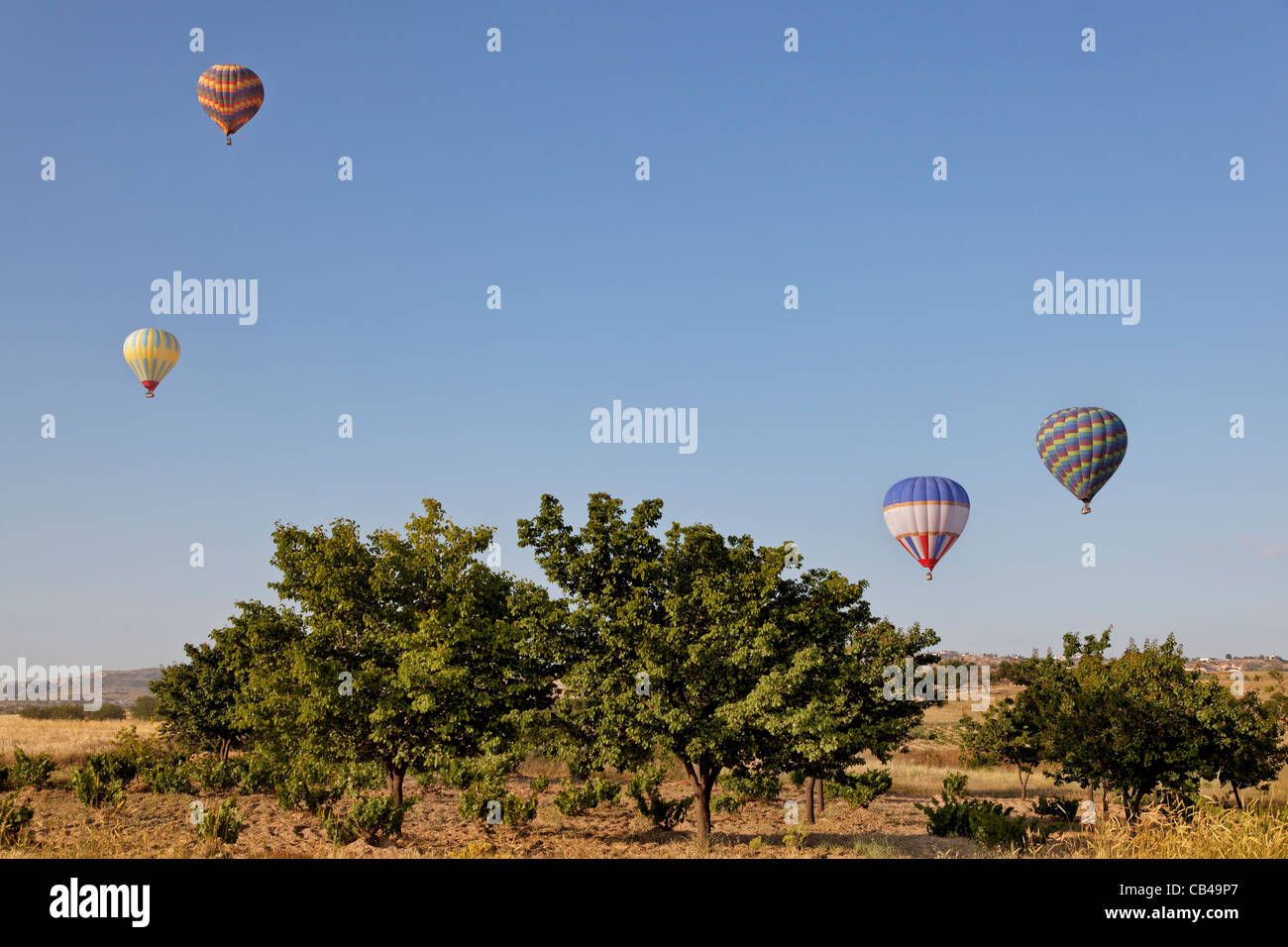 Hot air balloons in blue sky low level flying skimming trees, horizontal landscape early morning sky, vista, copy space Stock Photo