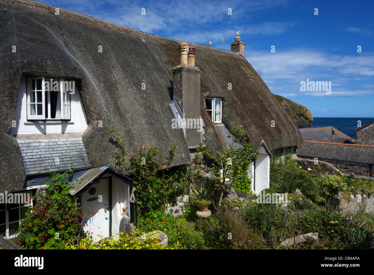 Cadgwith Stock Photos Cadgwith Stock Images Alamy