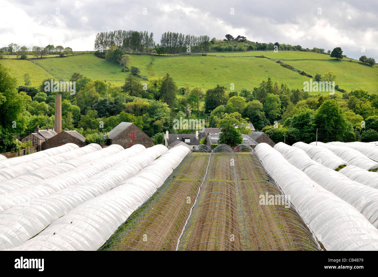 Agricultural tunnels with old weaving mill in Westfields of Rattray, Blairgowrie. Stock Photo
