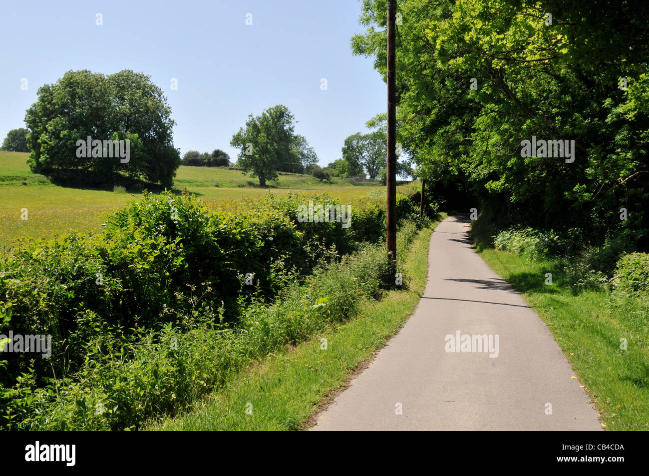 English country lane near Three Leg Cross in East Sussex. Stock Photo