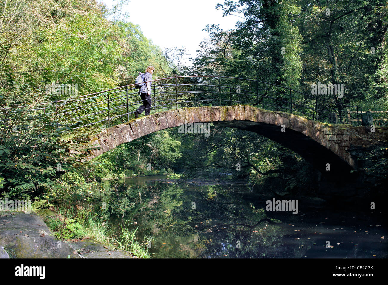 Roman Bridge, a packhorse bridge across the River Goyt, between Marple