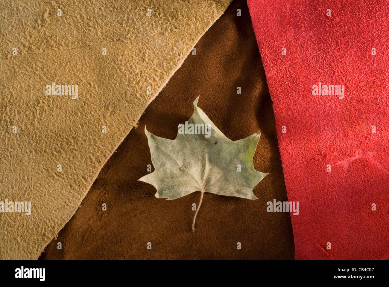 Red, brown, and beige cow leather texture close up with autumn leaf. Useful as background. Stock Photo