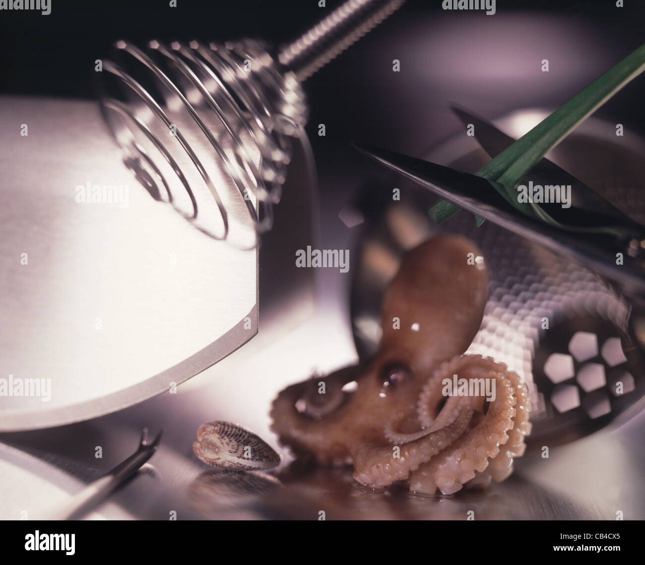 Calri Shells Calari hi-res stock photography and images - Alamy