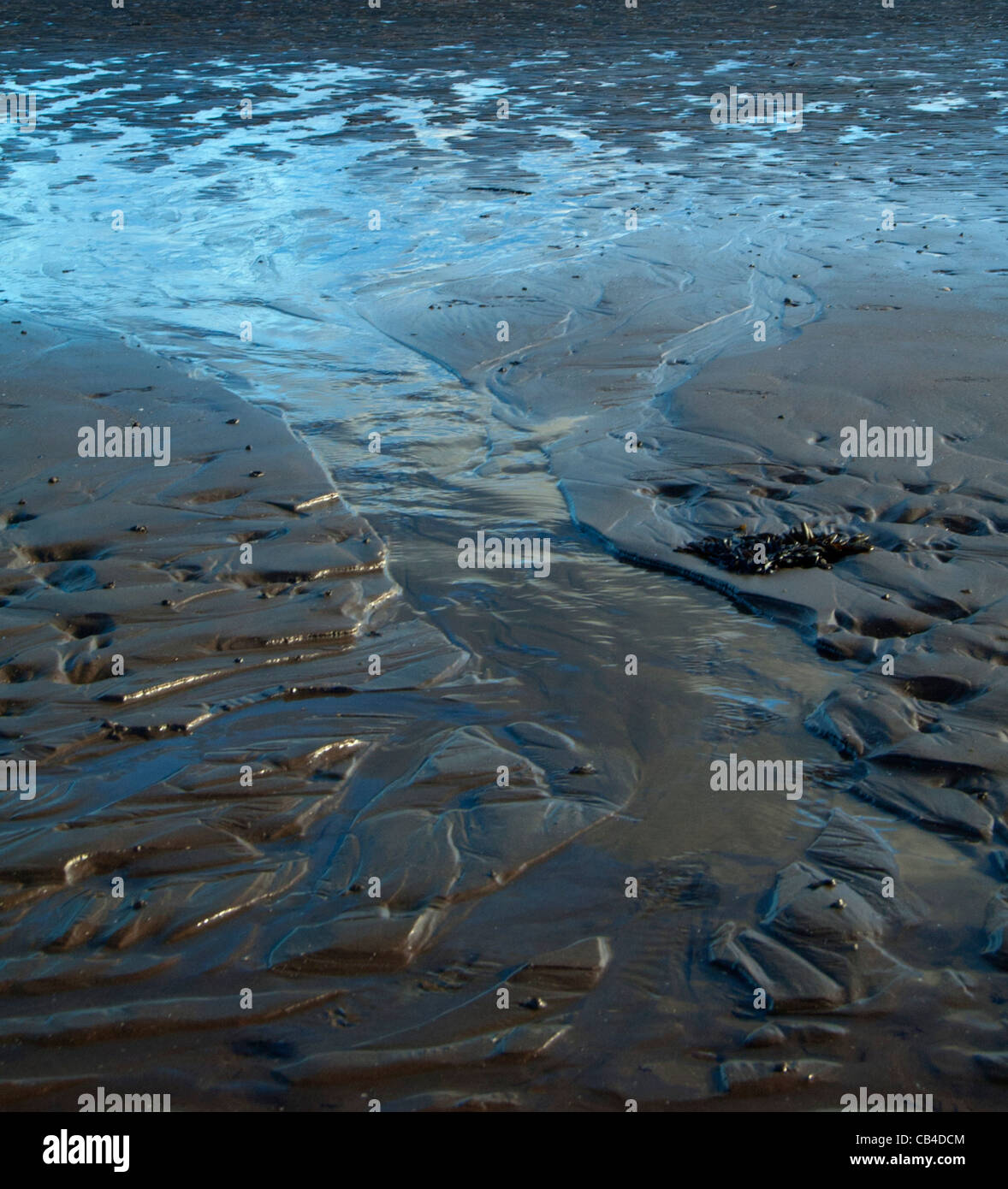 Shapes in wet sand Stock Photo - Alamy