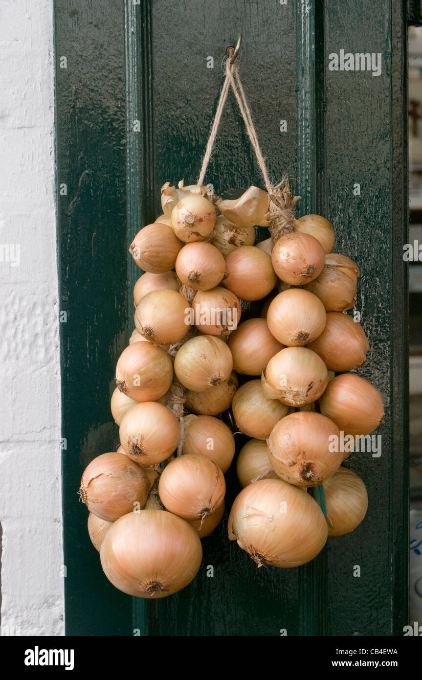 French onion seller hires stock photography and images Alamy