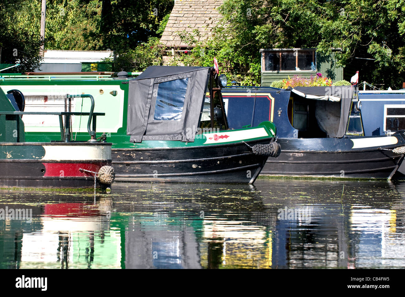Four narrowboats moored in a marina on the river Nene.  Focus is on the bows and sterns of each boat. Stock Photo