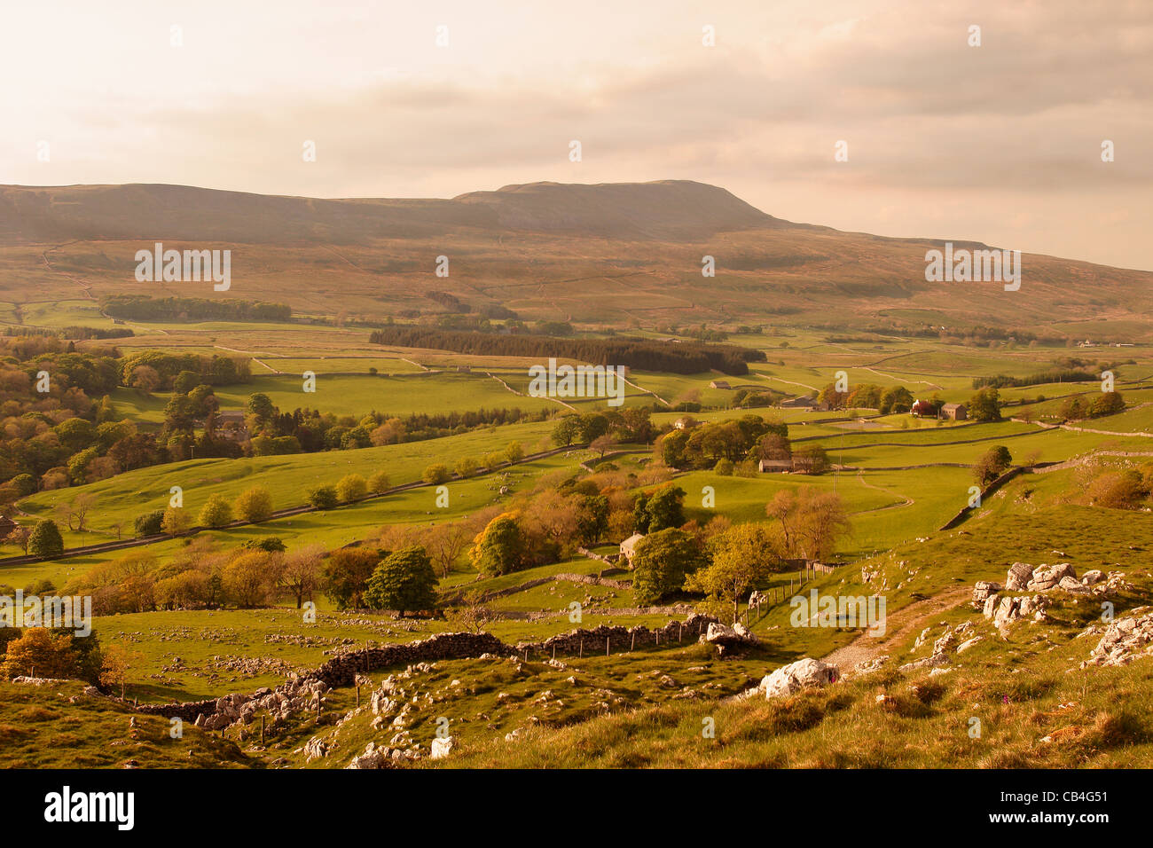 Whernside in summer Stock Photo - Alamy