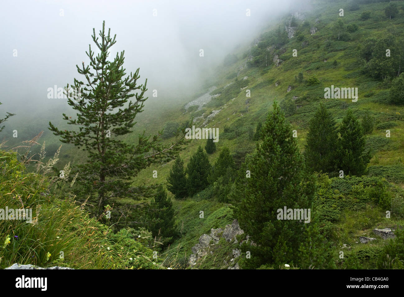 Dramatic landscape foggy mountains hi-res stock photography and images ...