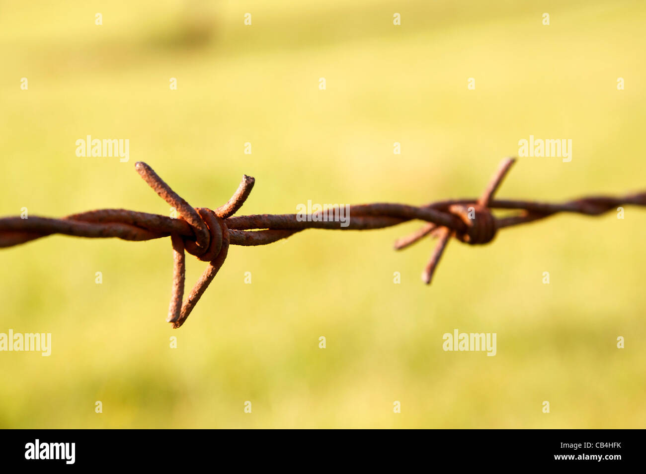 Closeup of rusty barbed wire. Intentionally shallow depth of Field. Stock Photo