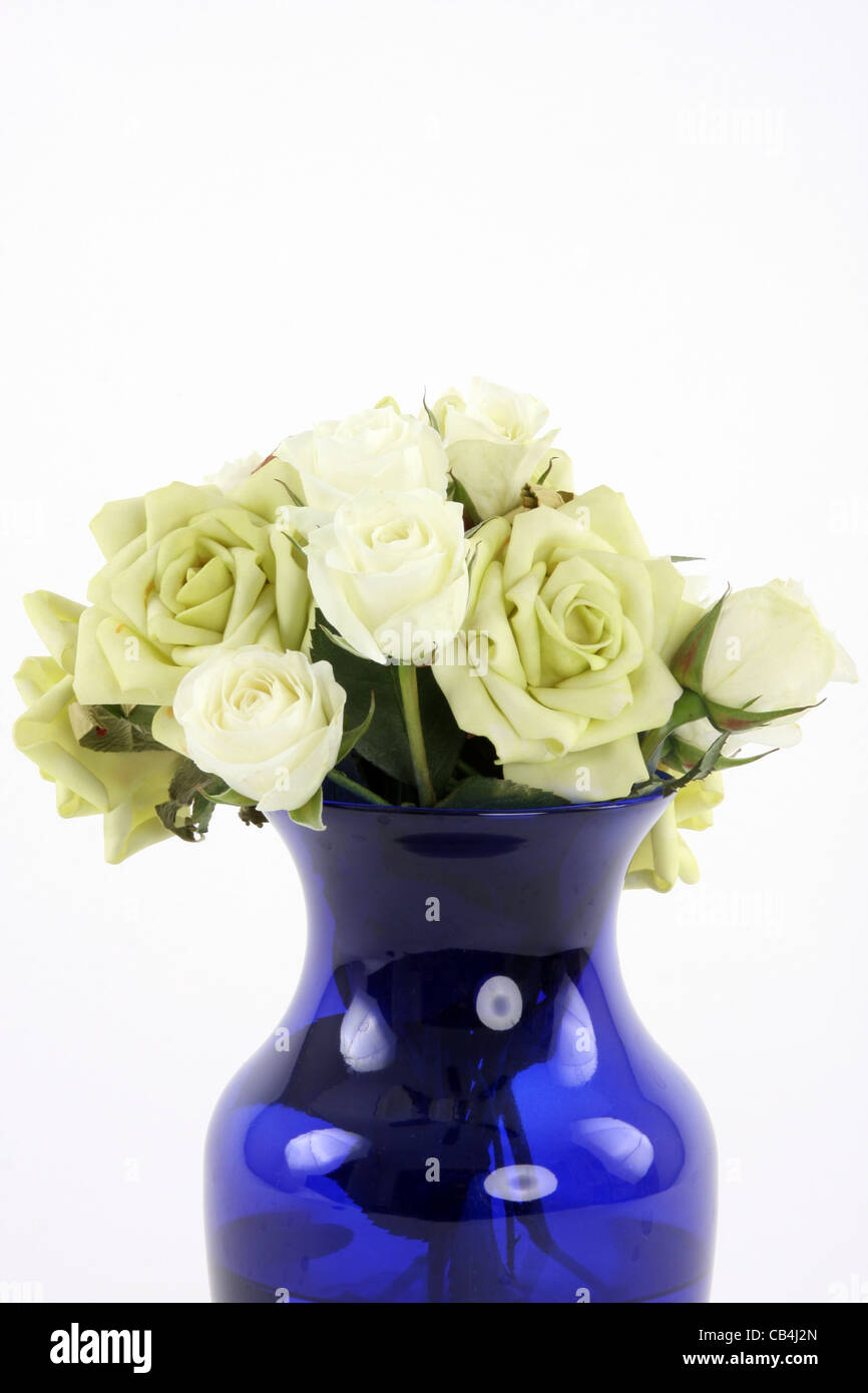 a blue vase with a bouquet of white flowers CB4J2N