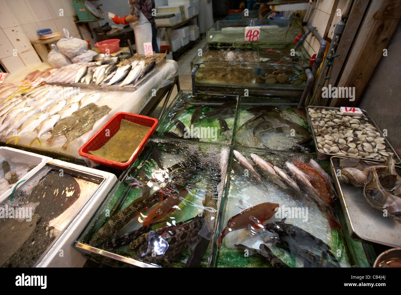 fresh fish and seafood in tanks on a market stall in kowloon hong kong