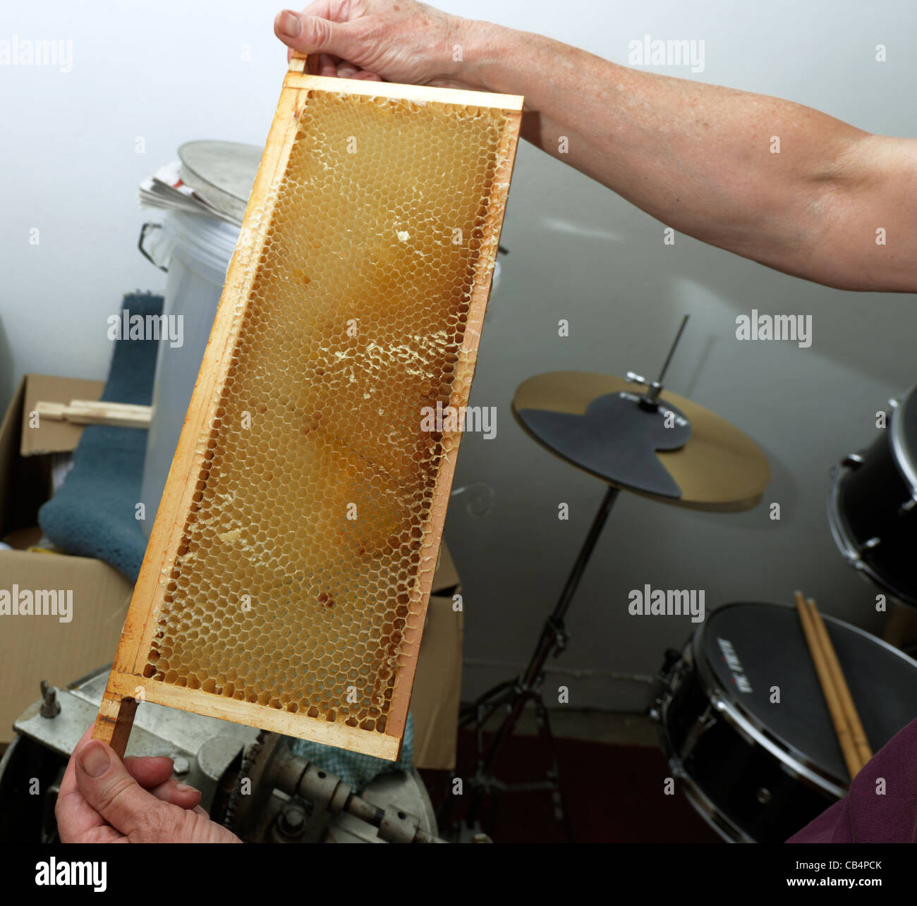 Honey extraction frame hires stock photography and images Alamy