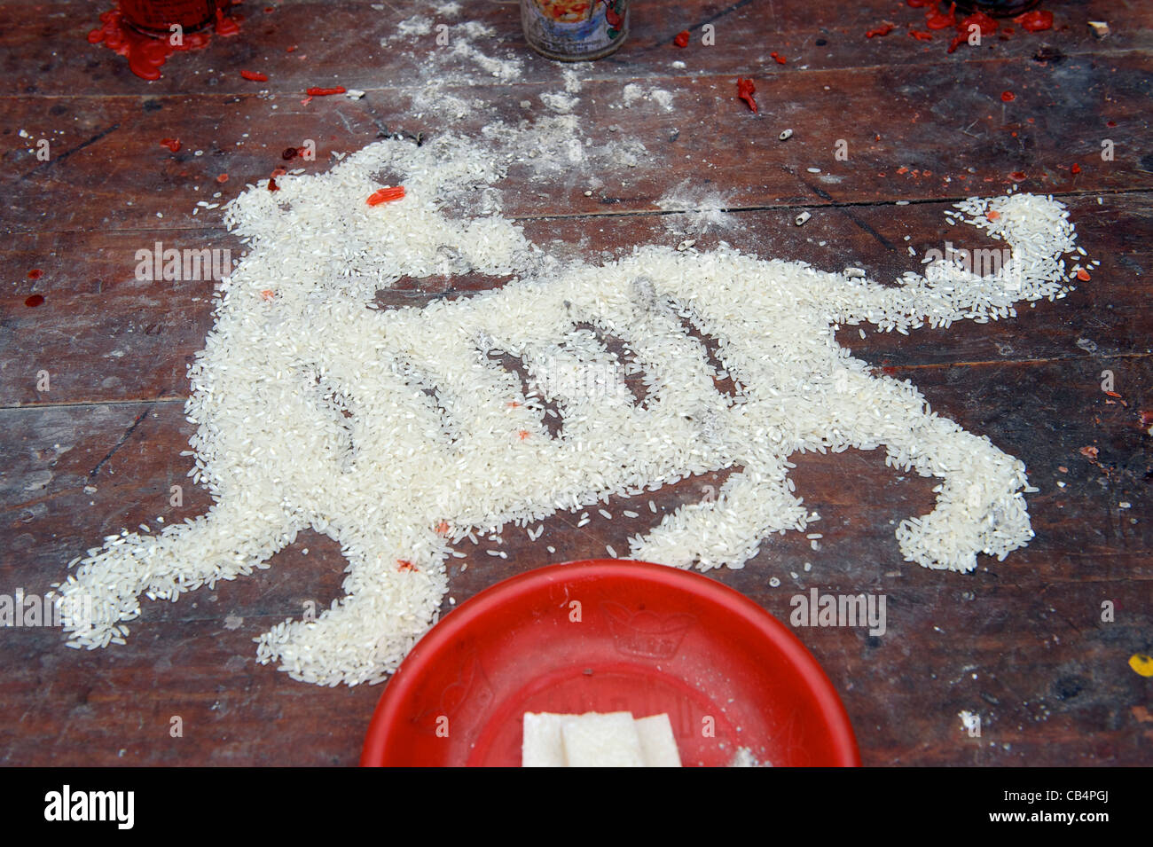 Tiger - a symbolic animal of the birth year - made with rice at a ...