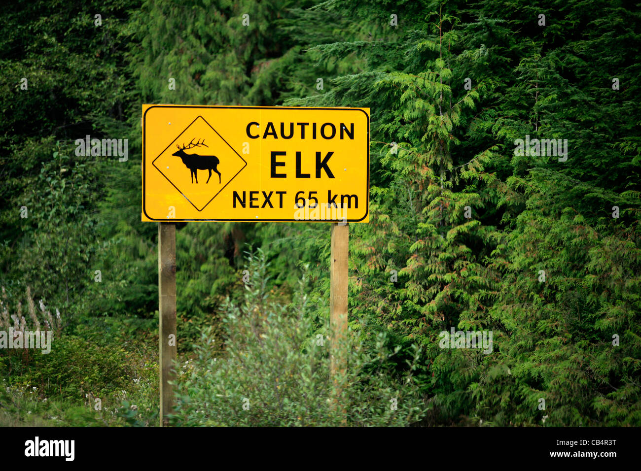 Caution Elk sign Vancouver Island Stock Photo