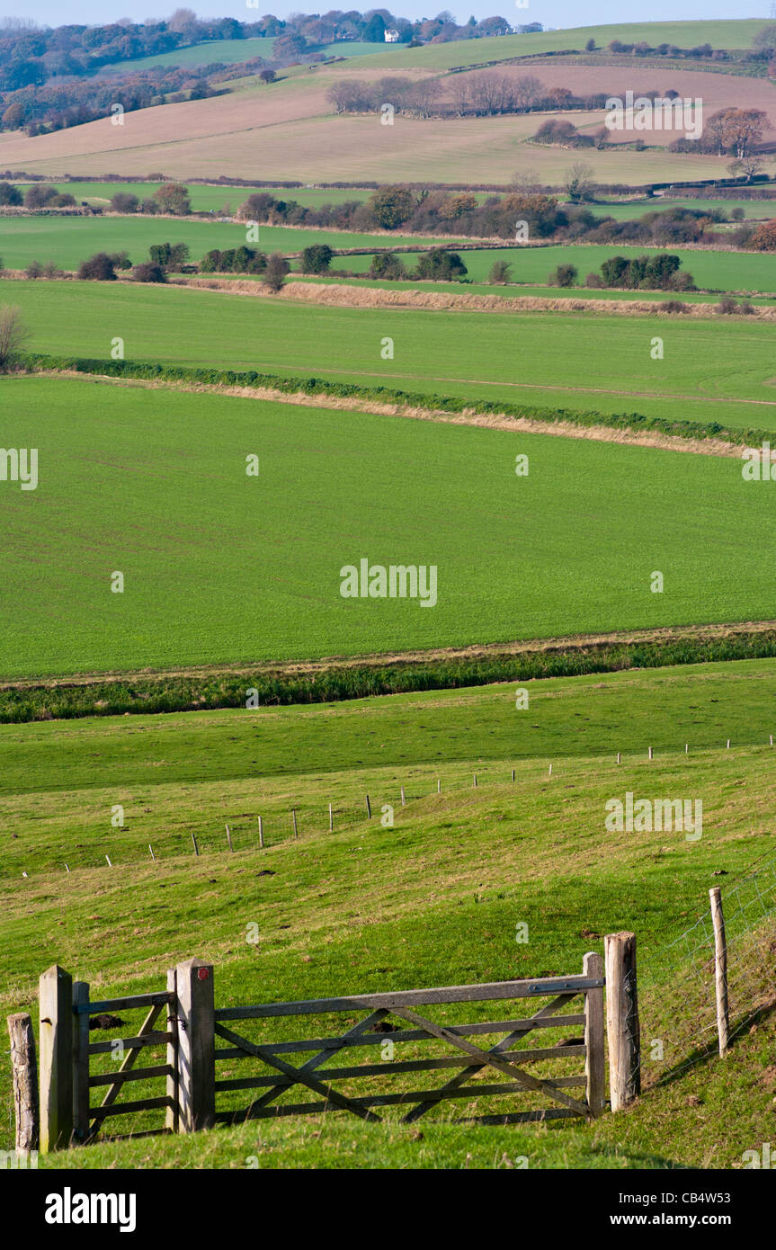 English rural landscape country hi-res stock photography and images - Alamy