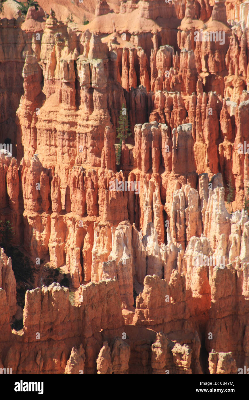 Bryce Canyon detail of hoodoos , Bryce Canyon National Park, Utah Stock Photo