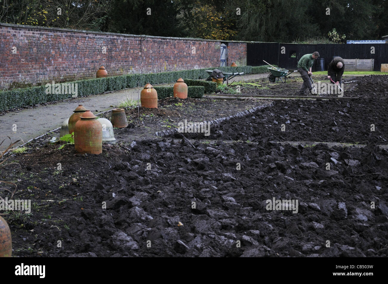 Tatton Park gardeners turning over soil Stock Photo