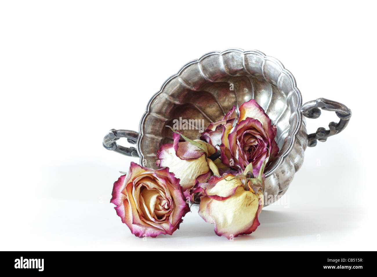 ancient silver vase with dry roses isolated on white Stock Photo Alamy
