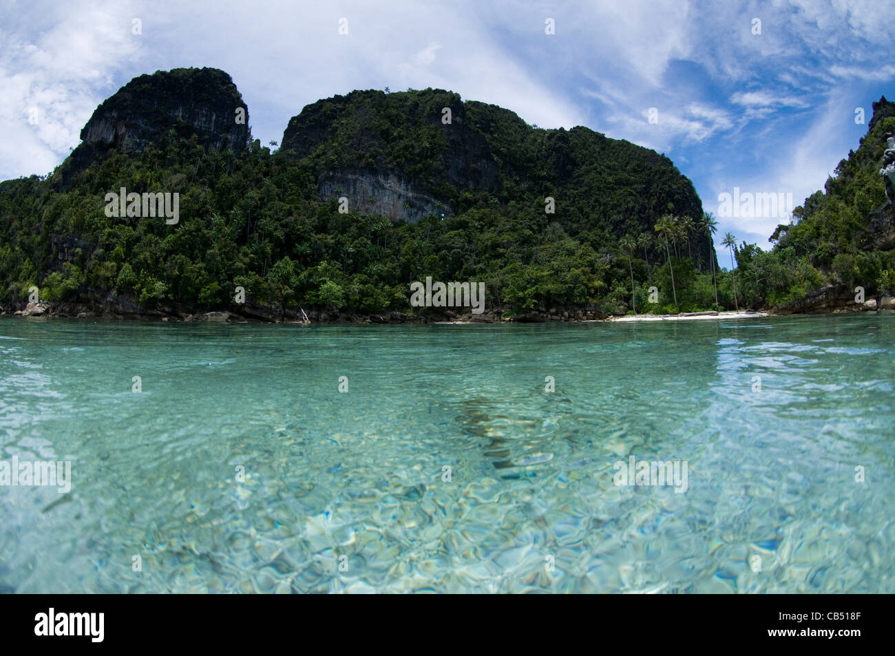 Split level photo, Misool area, Raja Ampat, West Papua, Indonesia, Pacific Ocean Stock Photo