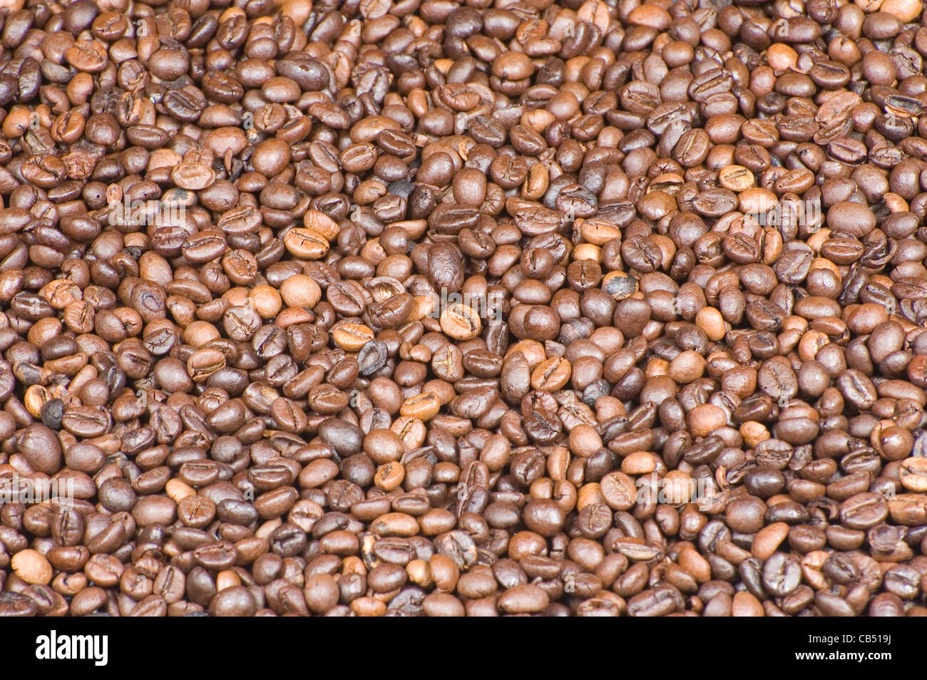 Coffee beans background Stock Photo