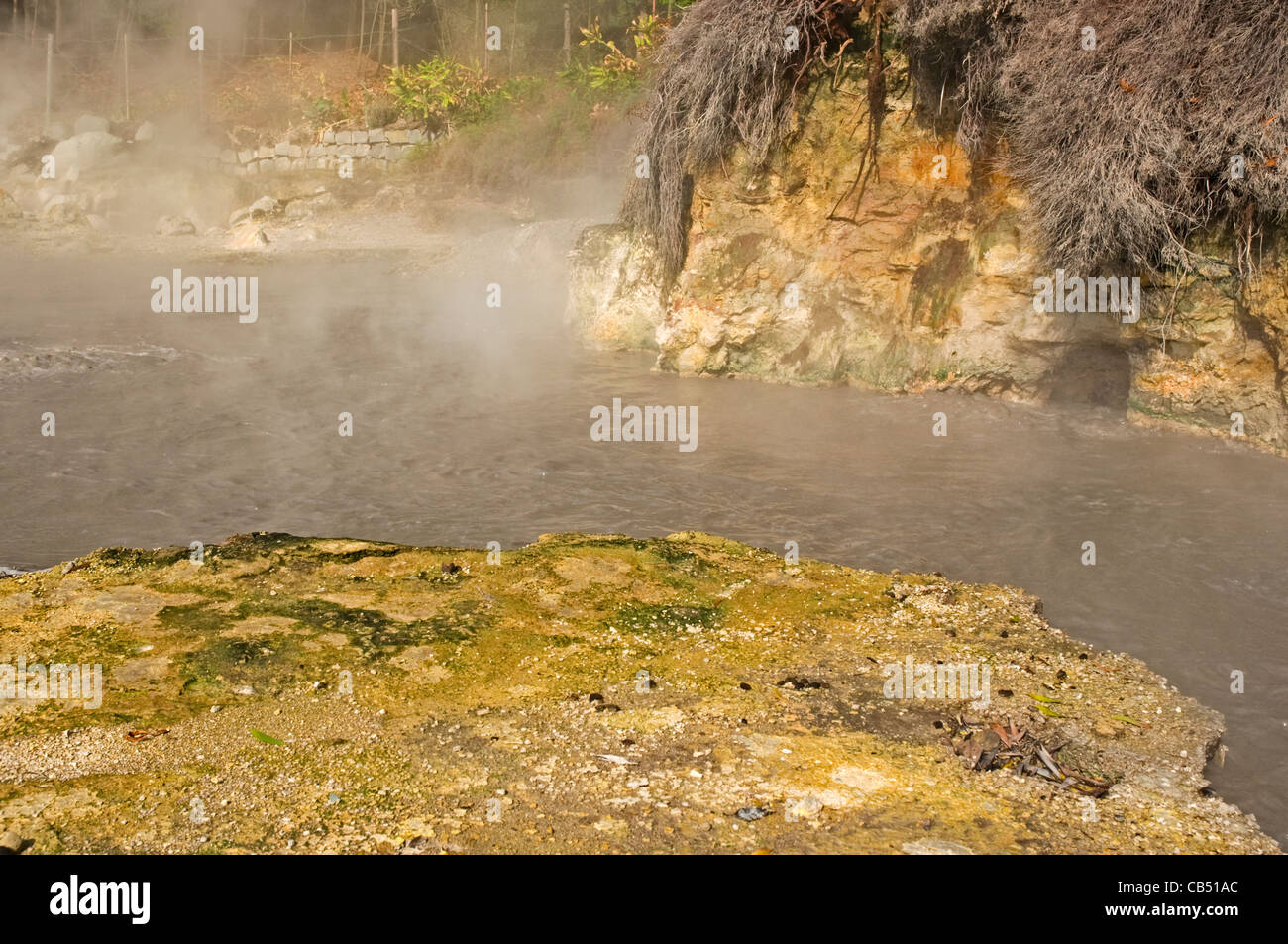 EUROPE PORTUGAL AZORES São Miguel Lagoa das Furnas bubbling mud pool showing geothermal activity Stock Photo
