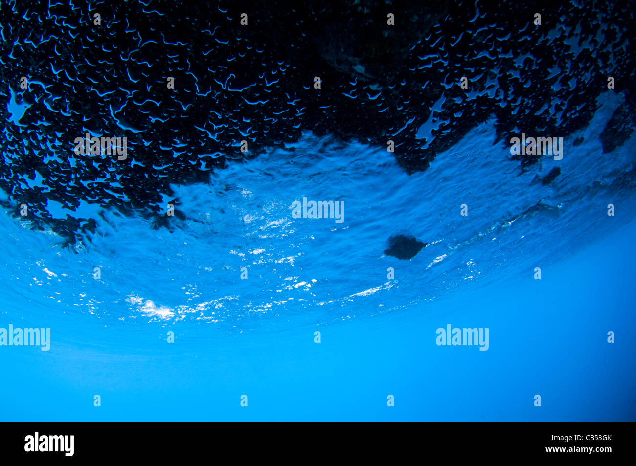 Water and bubbles trapped under an underwater ledge, Raja Ampat, West ...