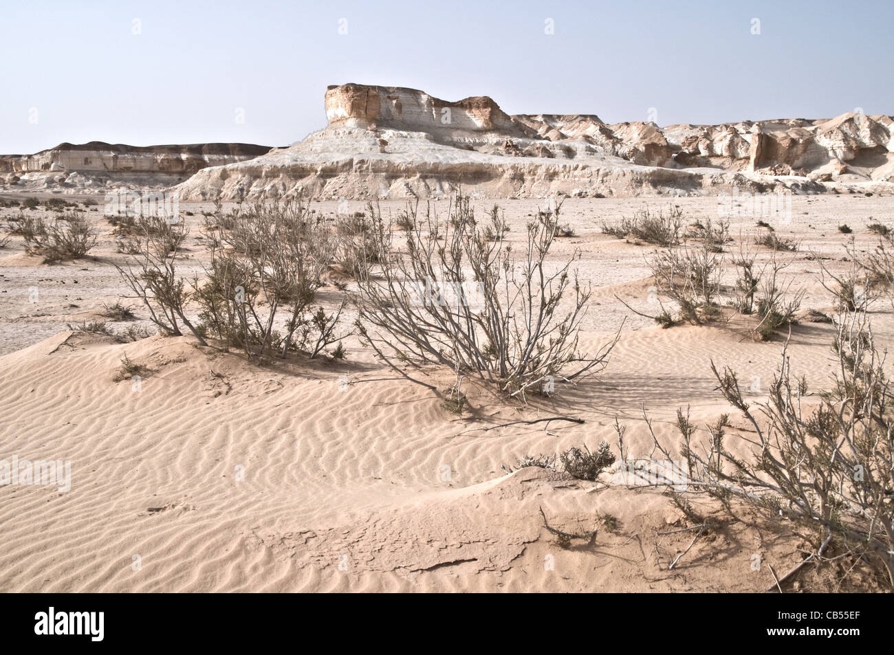 A sandy desert plateau and dry vegetation in the eastern desert of the Badia, Wadi Dahek, Hashemite Kingdom of Jordan. Stock Photo